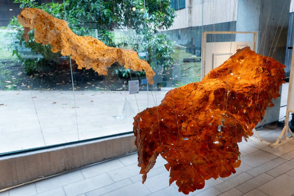 Umbrales de sanación