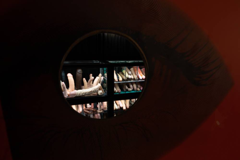 Exposición OVNI – Objetos Visibles No Identificados