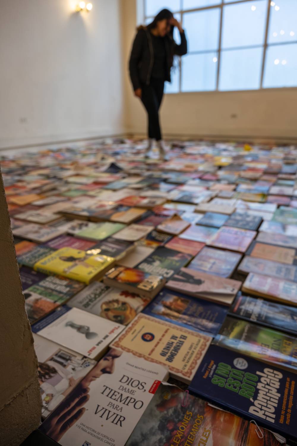 Gabriel Garz&oacute;n Bonilla