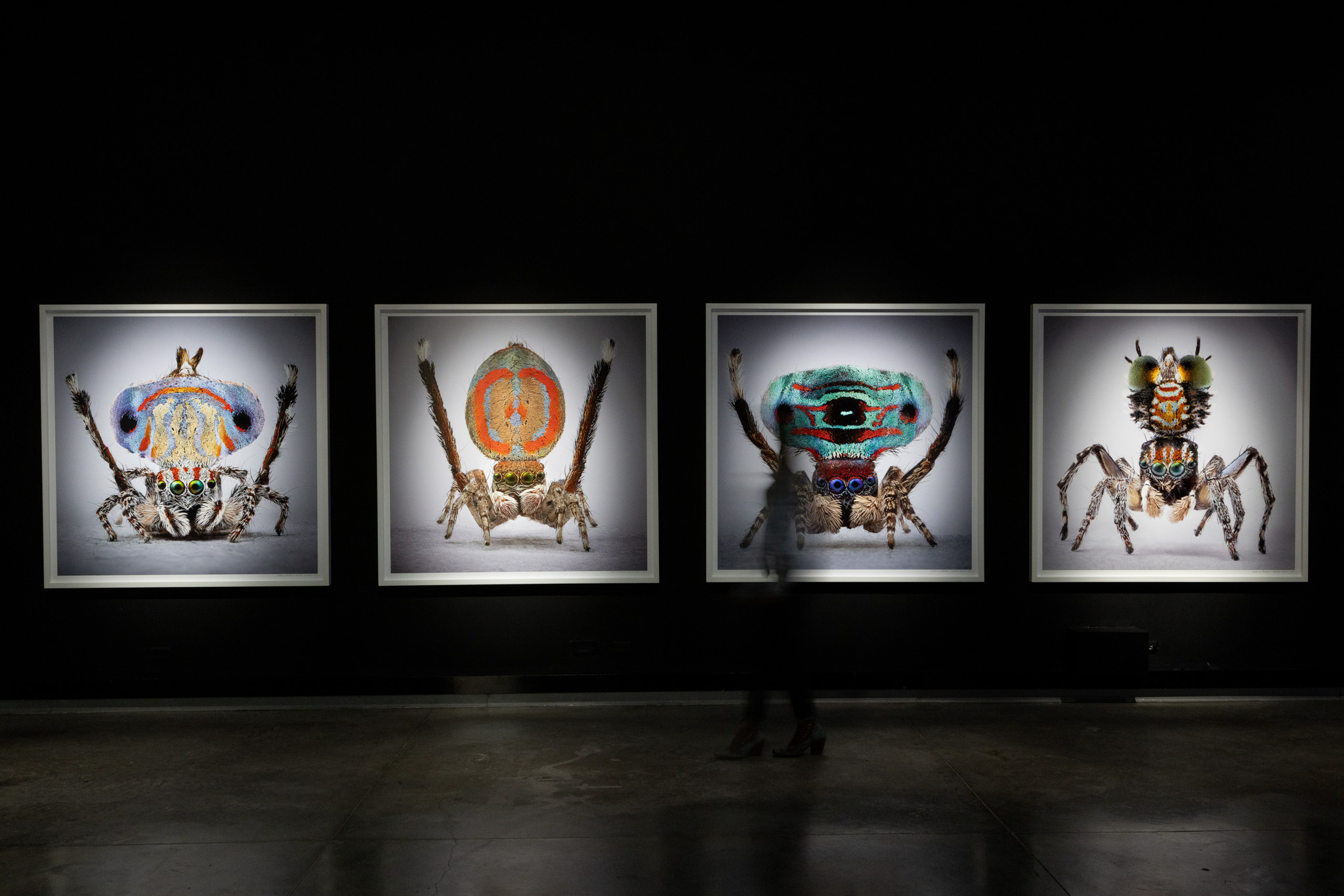 Mar&iacute;a Fernanda Cardoso