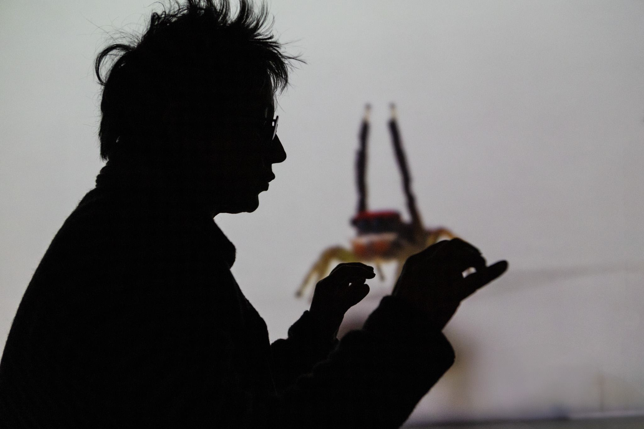 Mar&iacute;a Fernanda Cardoso