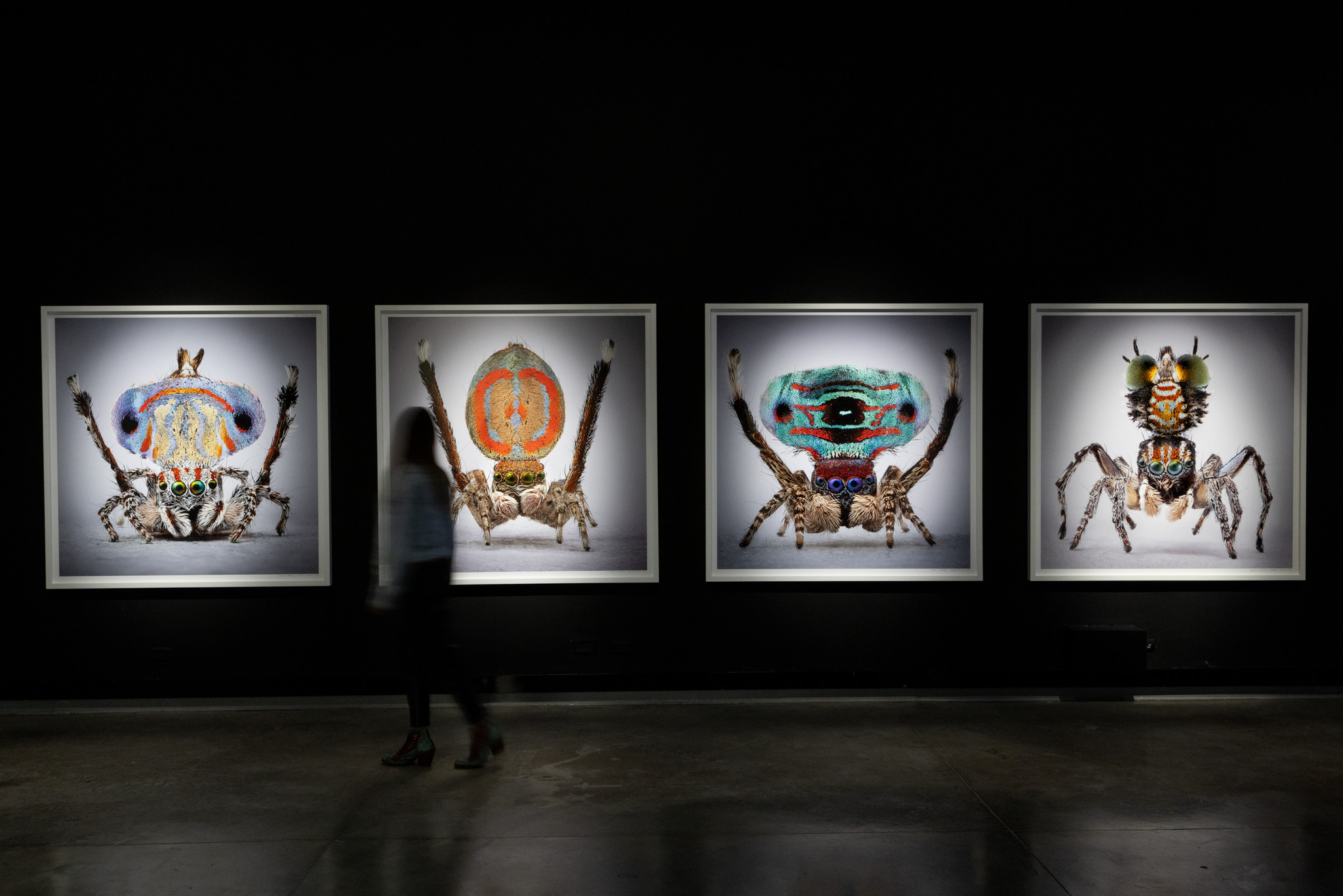 Mar&iacute;a Fernanda Cardoso