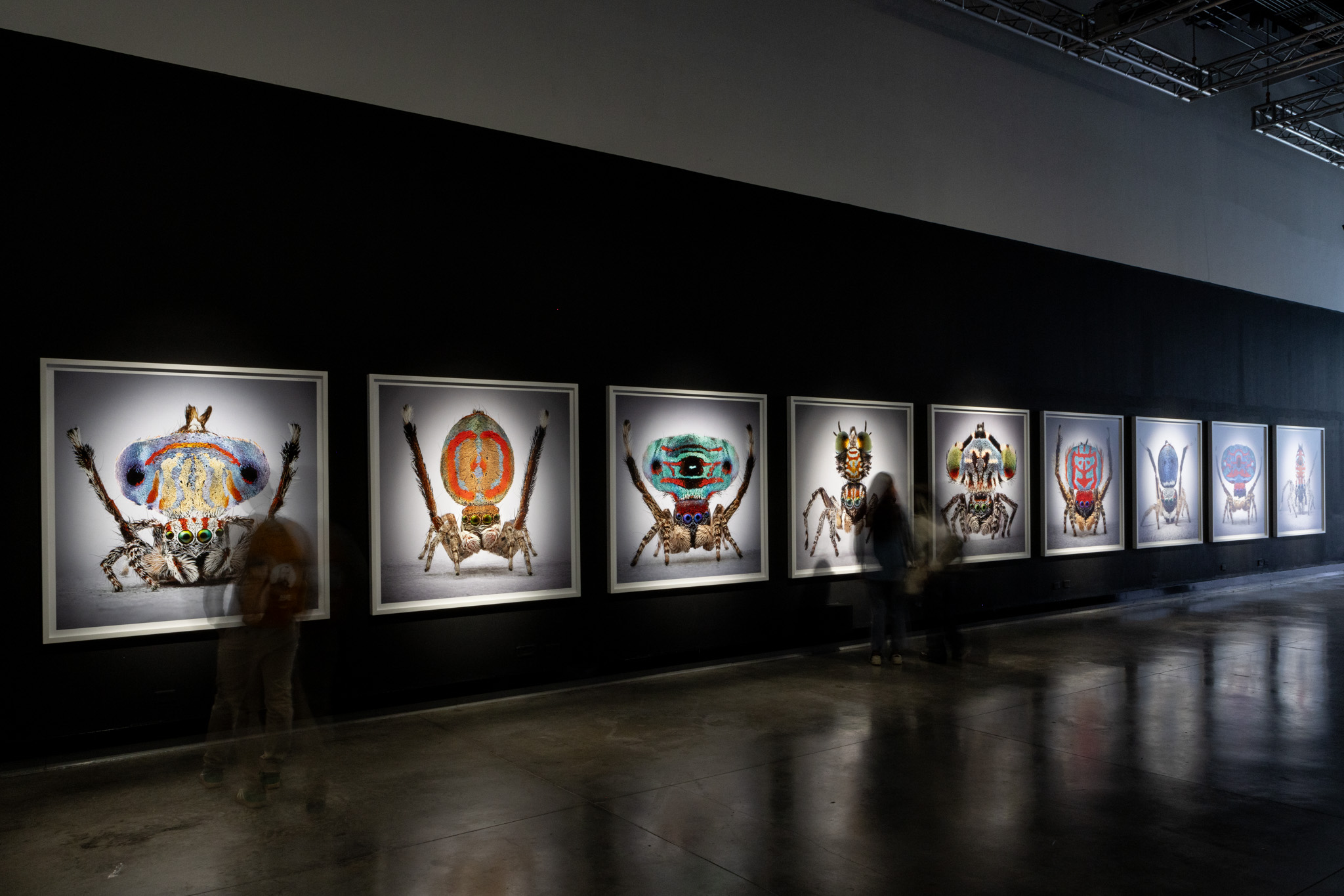 Mar&iacute;a Fernanda Cardoso