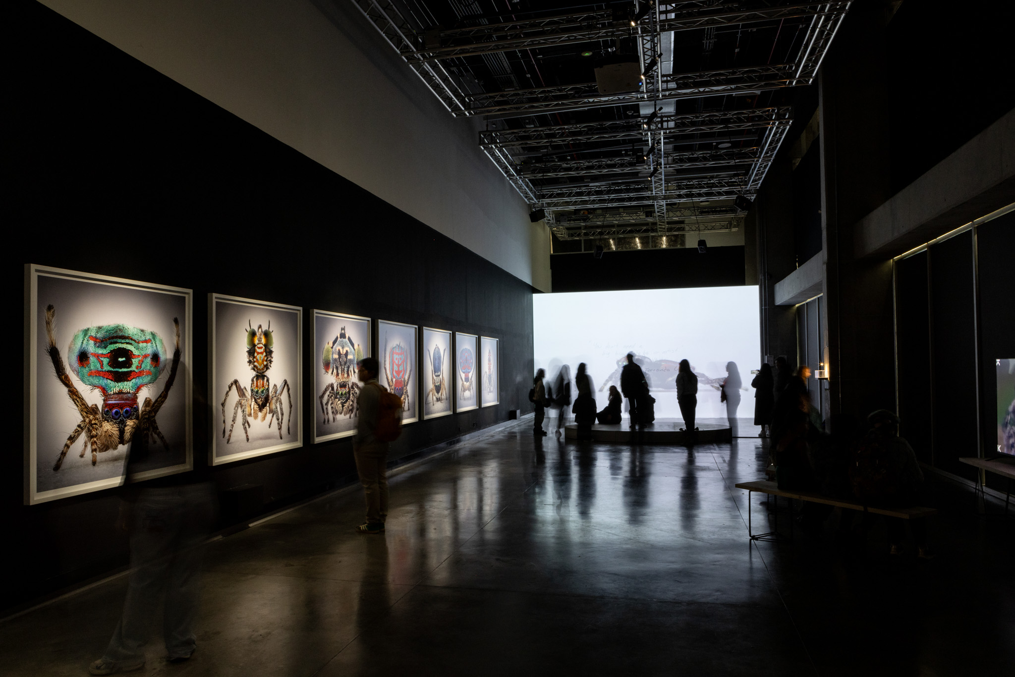 Mar&iacute;a Fernanda Cardoso