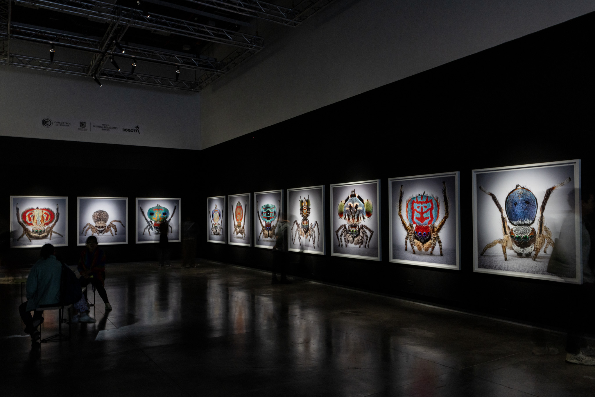 Mar&iacute;a Fernanda Cardoso