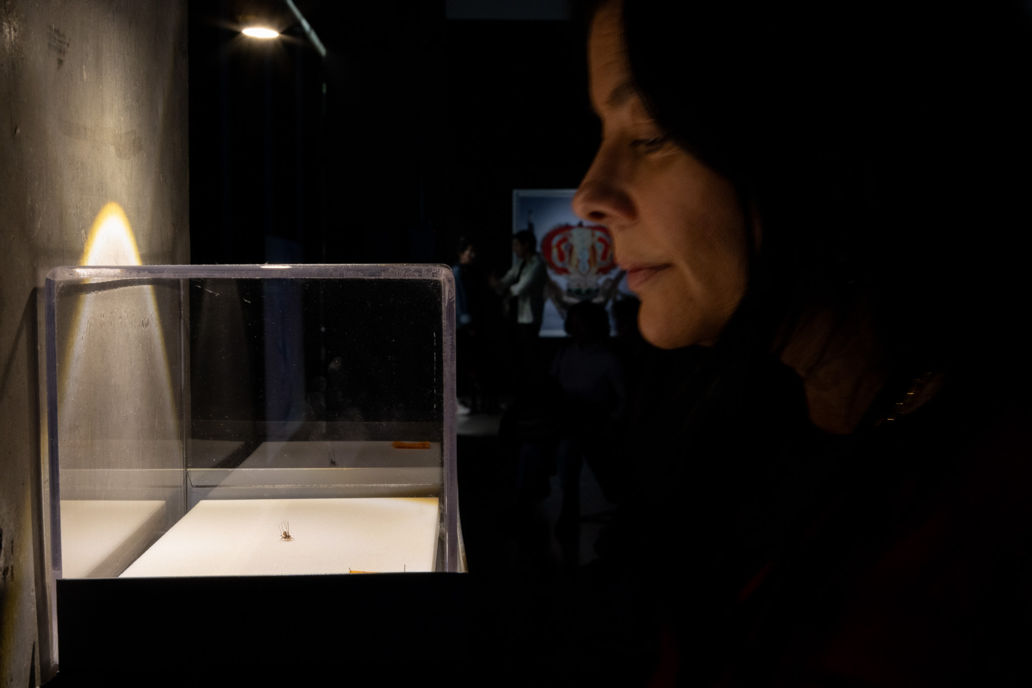 Mar&iacute;a Fernanda Cardoso