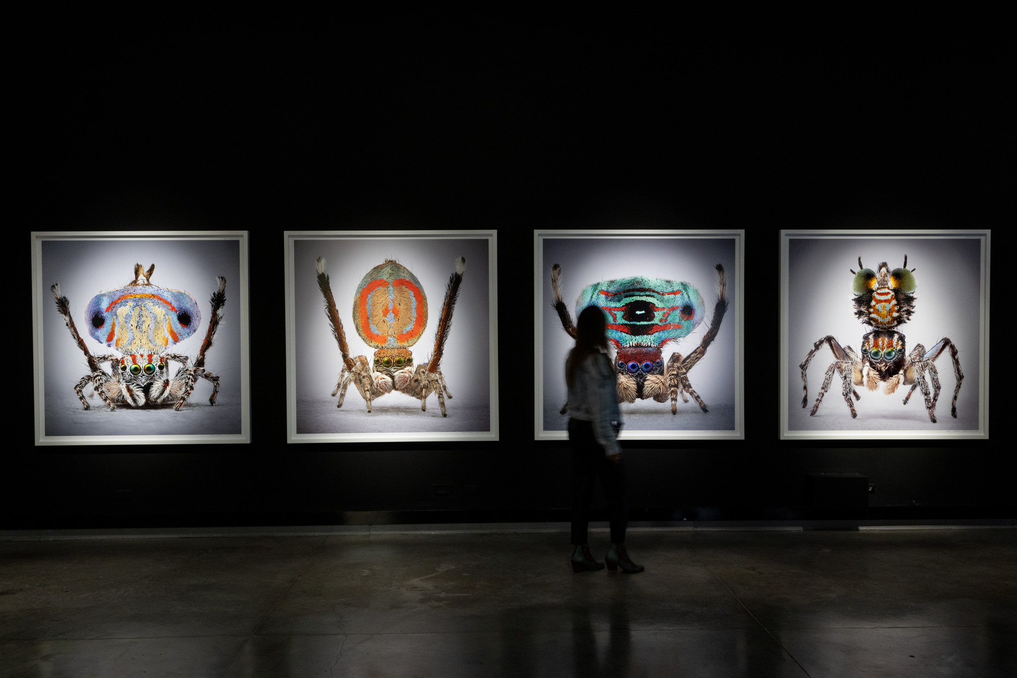 Mar&iacute;a Fernanda Cardoso