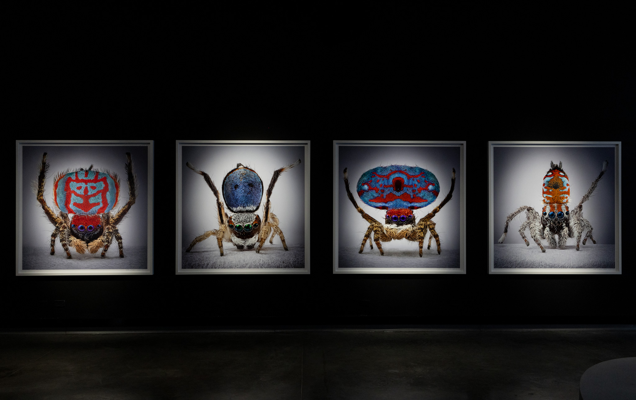 Mar&iacute;a Fernanda CardosoMar&iacute;a Fernanda Cardoso