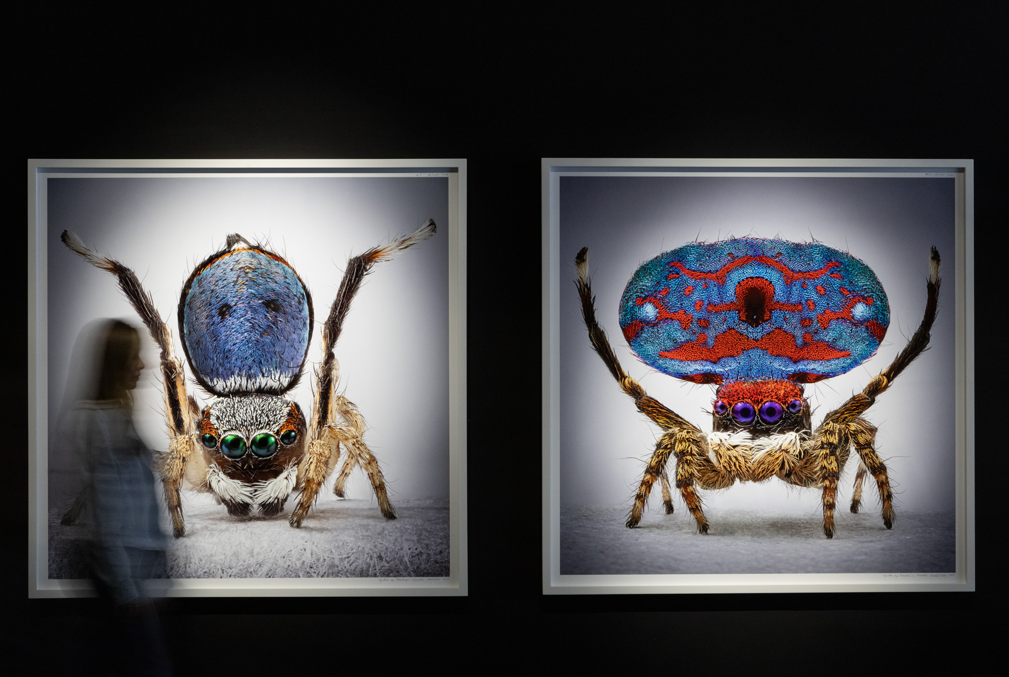 Mar&iacute;a Fernanda Cardoso