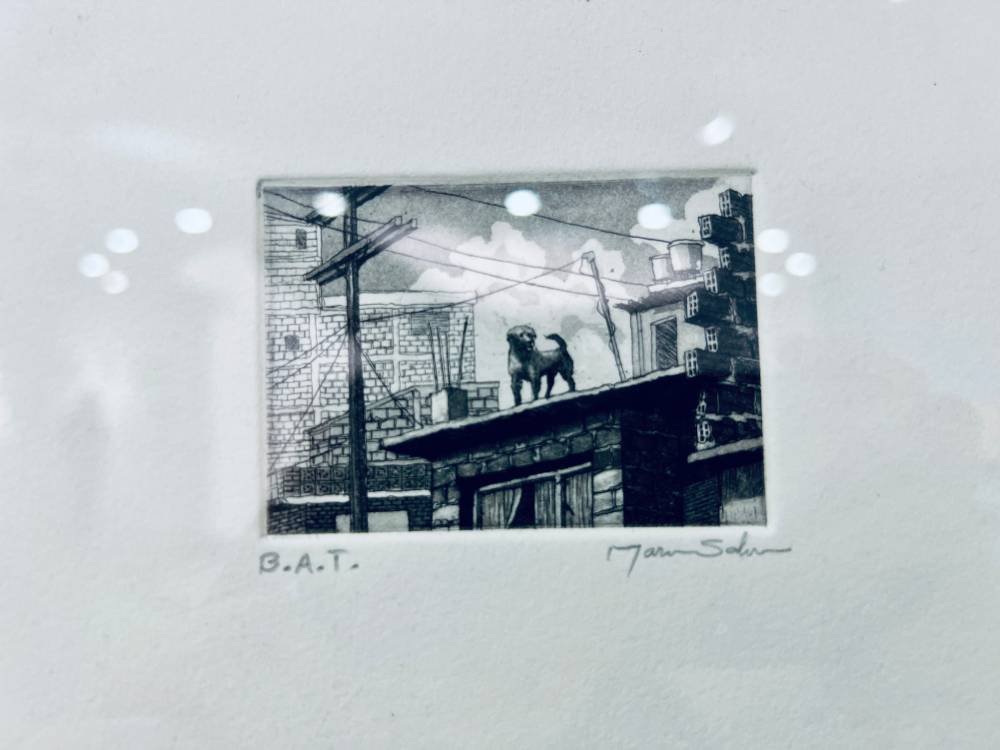 Transformaciones de una ciudad por habitar