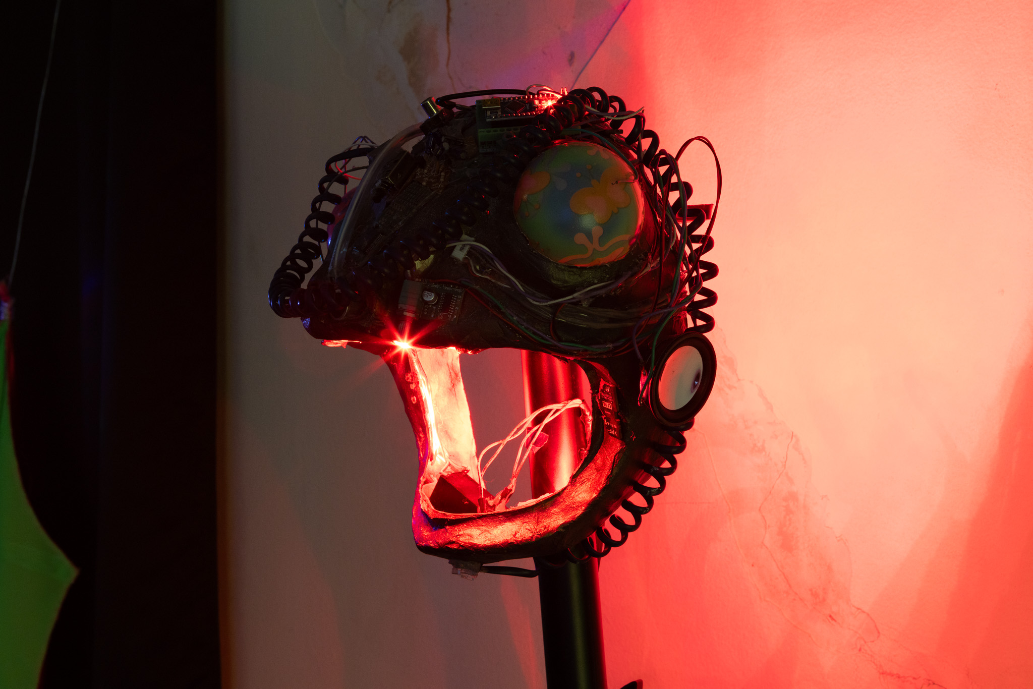 Naom&iacute; Rinc&oacute;n-Gallardo