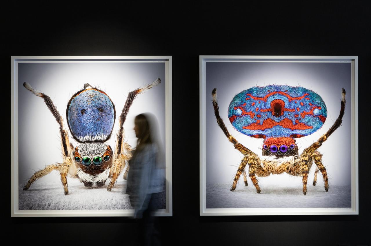 María Fernanda Cardoso