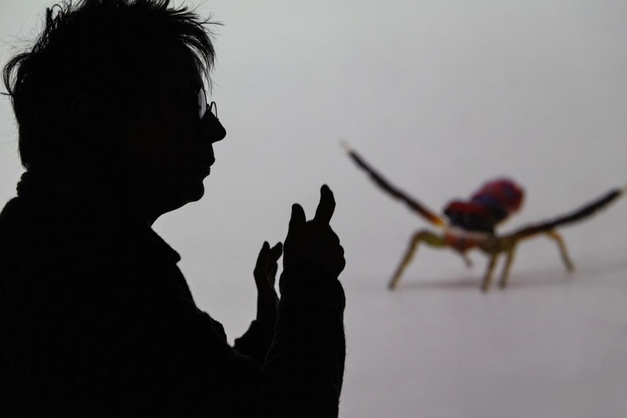 María Fernanda Cardoso