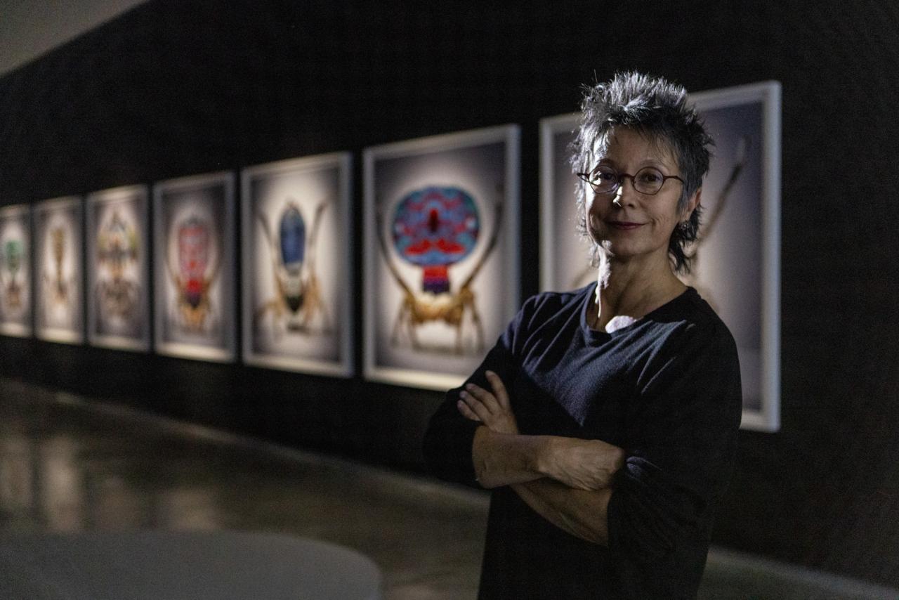 María Fernanda Cardoso