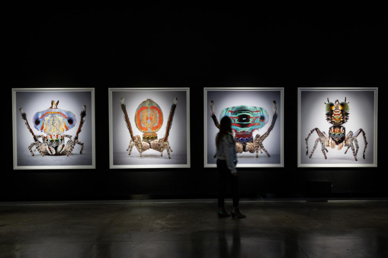 María Fernanda Cardoso