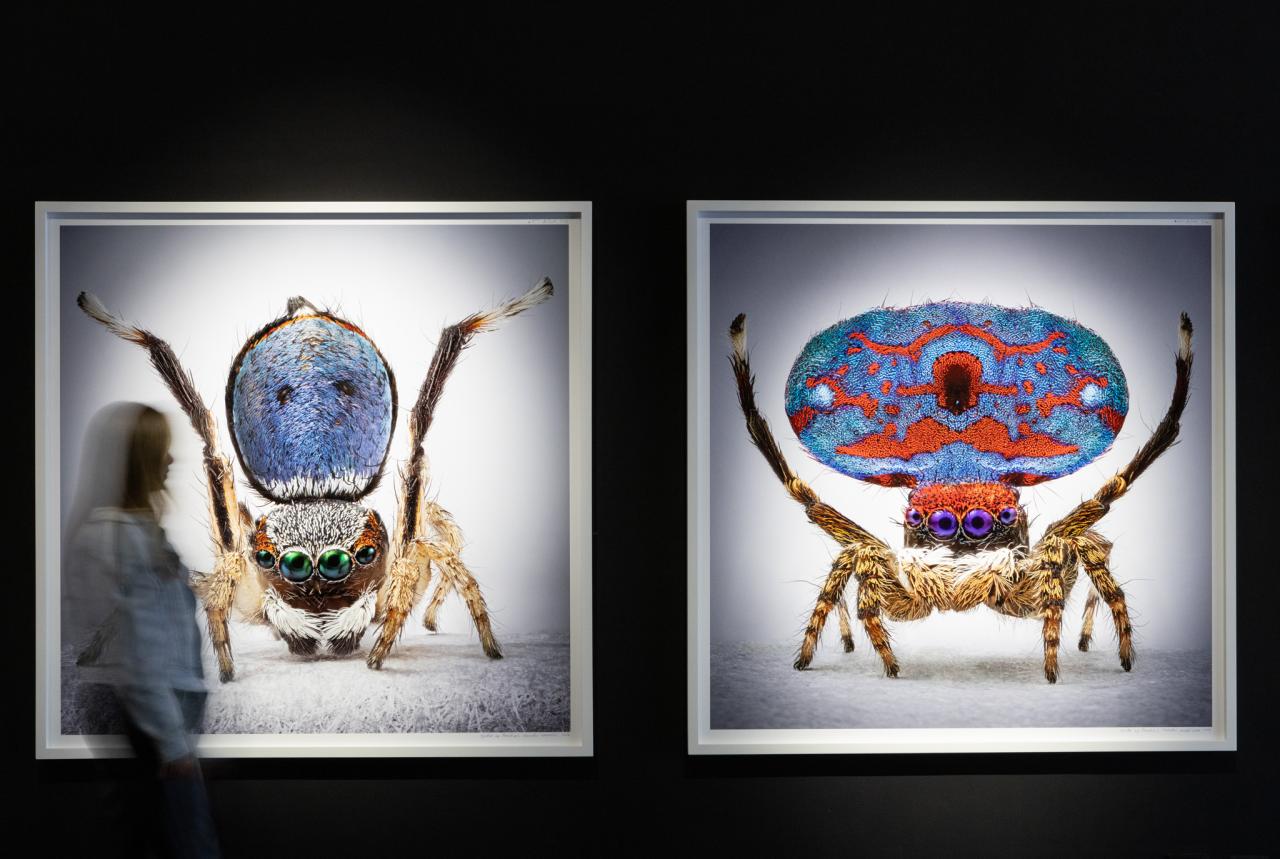 María Fernanda Cardoso