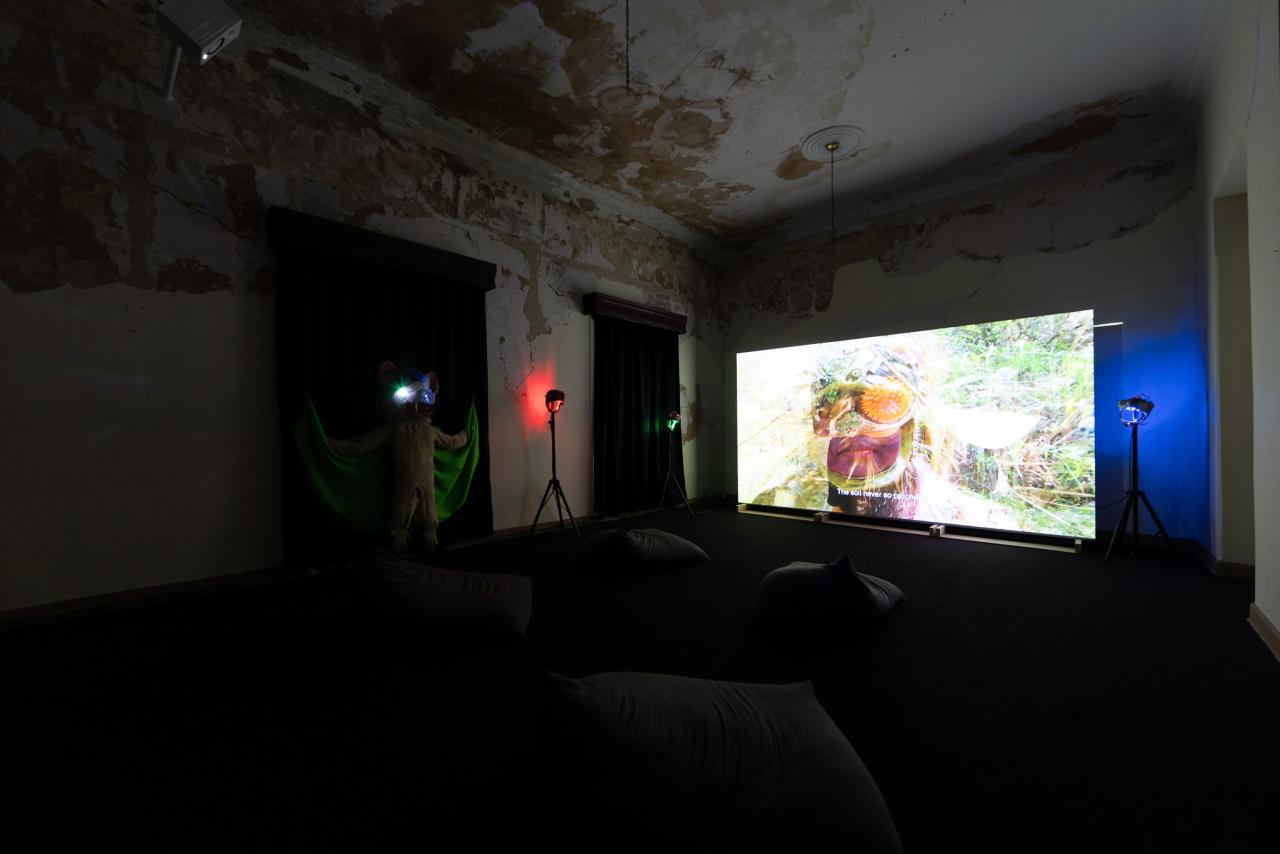 Naomí Rincón-Gallardo